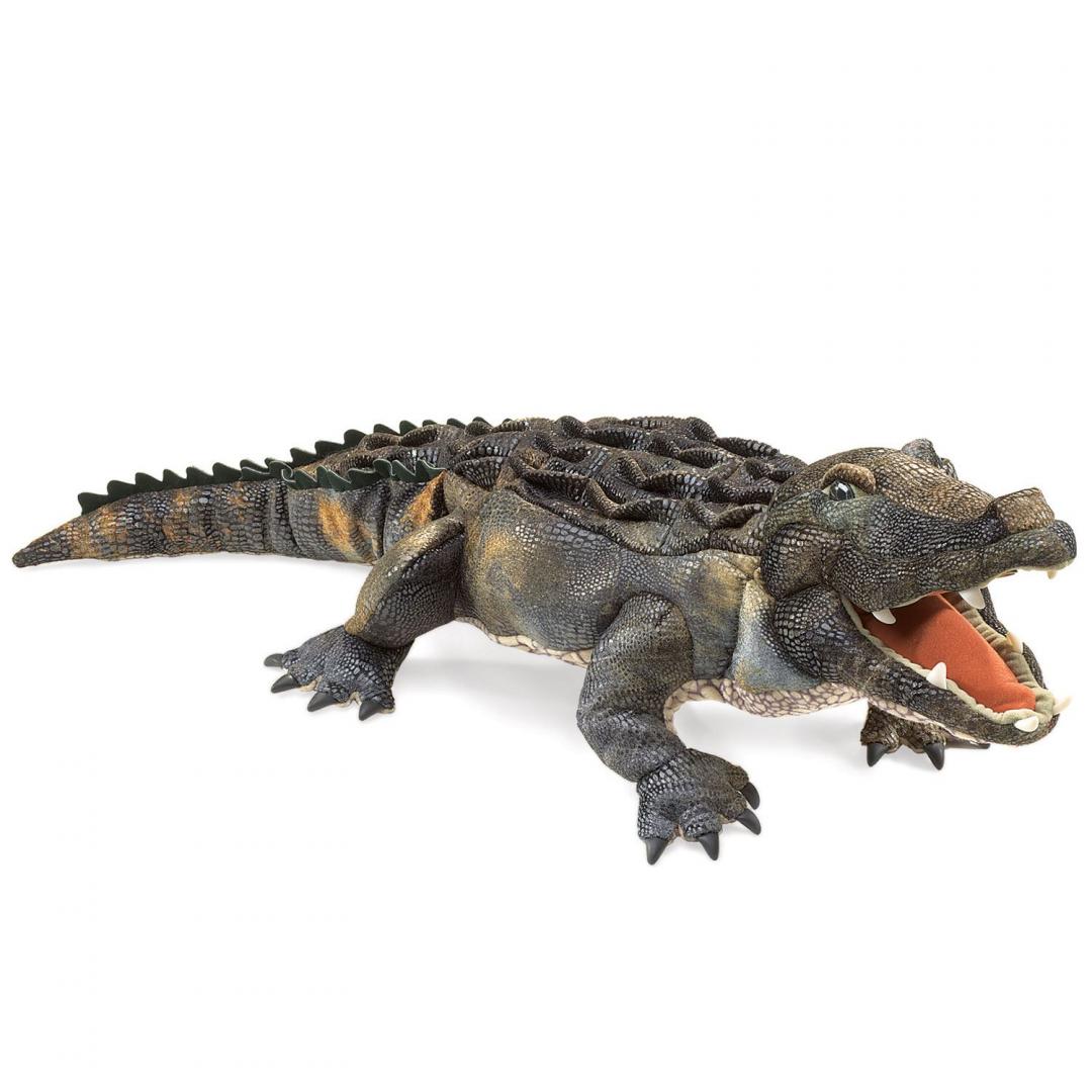 Alligator Handpuppe Folkmanis - Die sehr realistisch aussehenden Tier-Handpuppen von Folkmanis zeichnen sich aus durch ihre hohe Qualität und besondere Liebe zum Detail. Alligator Handpuppe Folkmanis