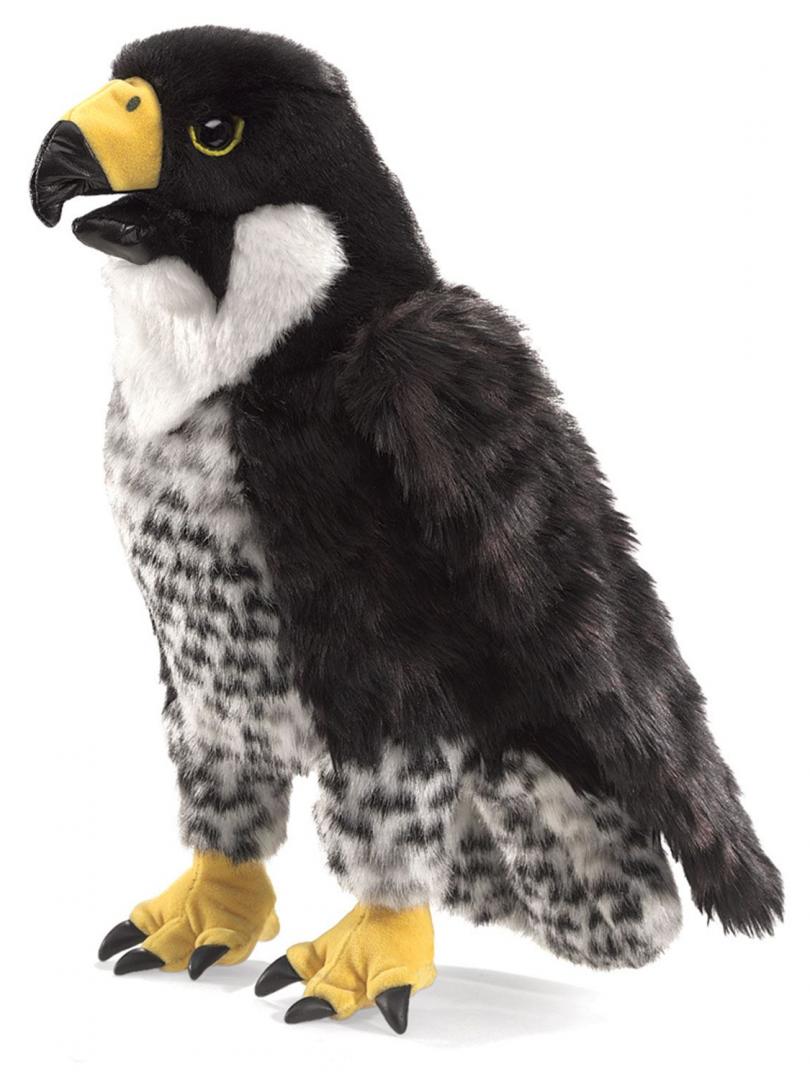 Wanderfalke Handpuppe Folkmanis - Die sehr realistisch aussehenden Tier-Handpuppen von Folkmanis zeichnen sich aus durch ihre hohe Qualität und besondere Liebe zum Detail. Wanderfalke Handpuppe Folkmanis