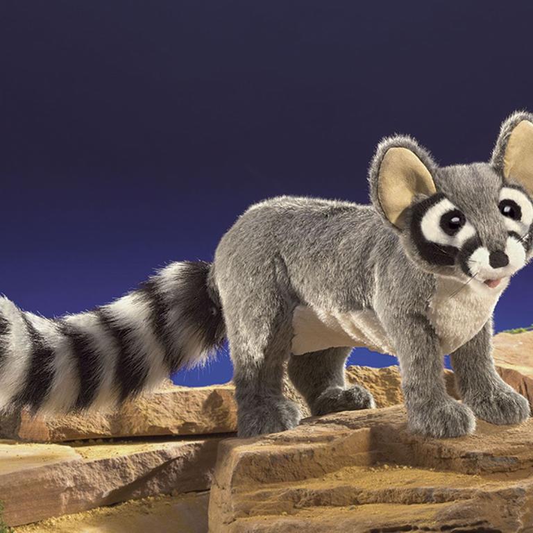 Katzenfrett Folkmanis Handpuppe