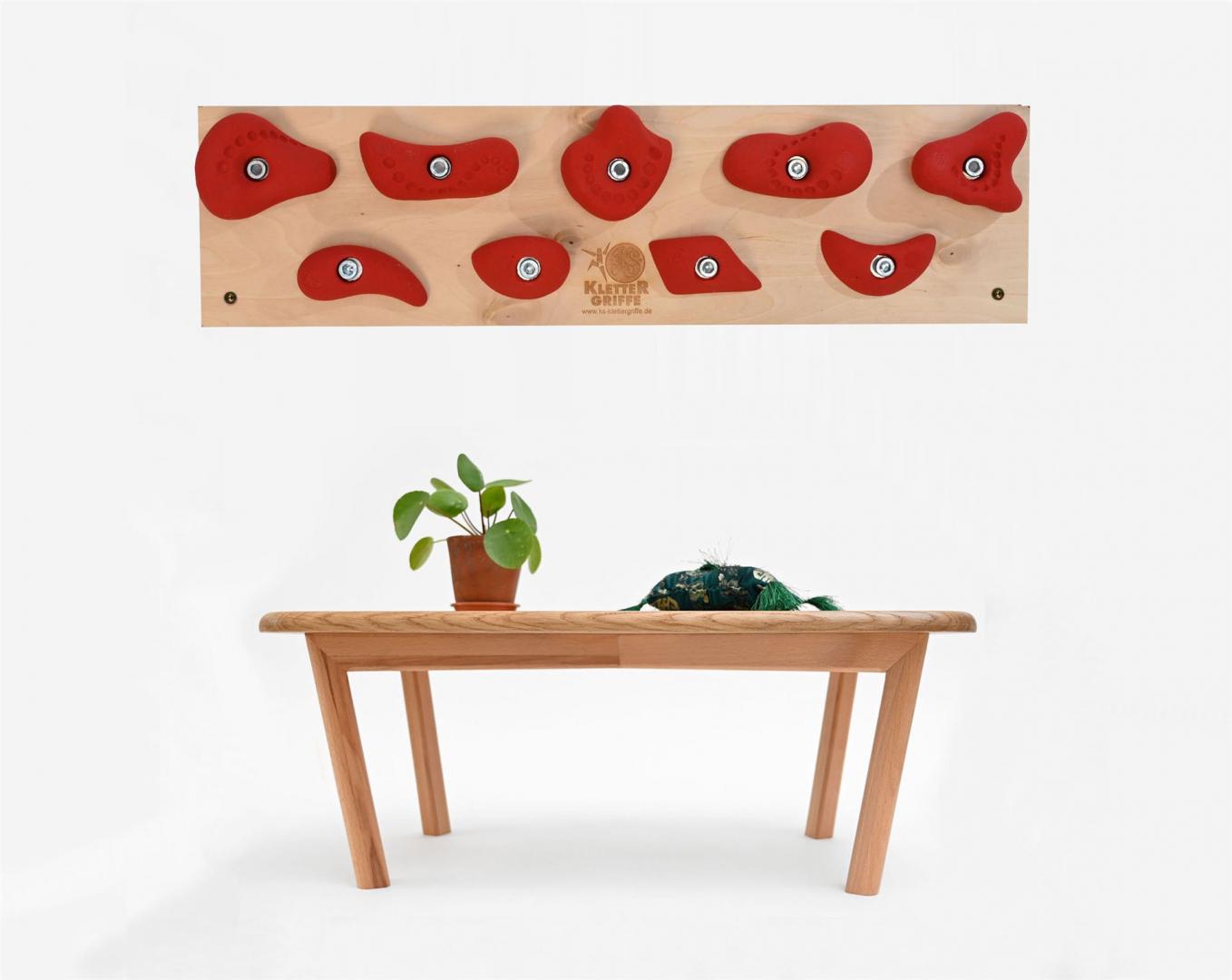 Trainingsboard Leicht - für zuhause - Ein Kletterboard für Kletterer, die auch zu Hause ihre Finger- und Armmuskulatur trainieren möchten - mit 9/10 Klettergriffen. Trainingsboard Leicht - für zuhause - stabiles Kletterboard mit 9/10 Klettergriffen