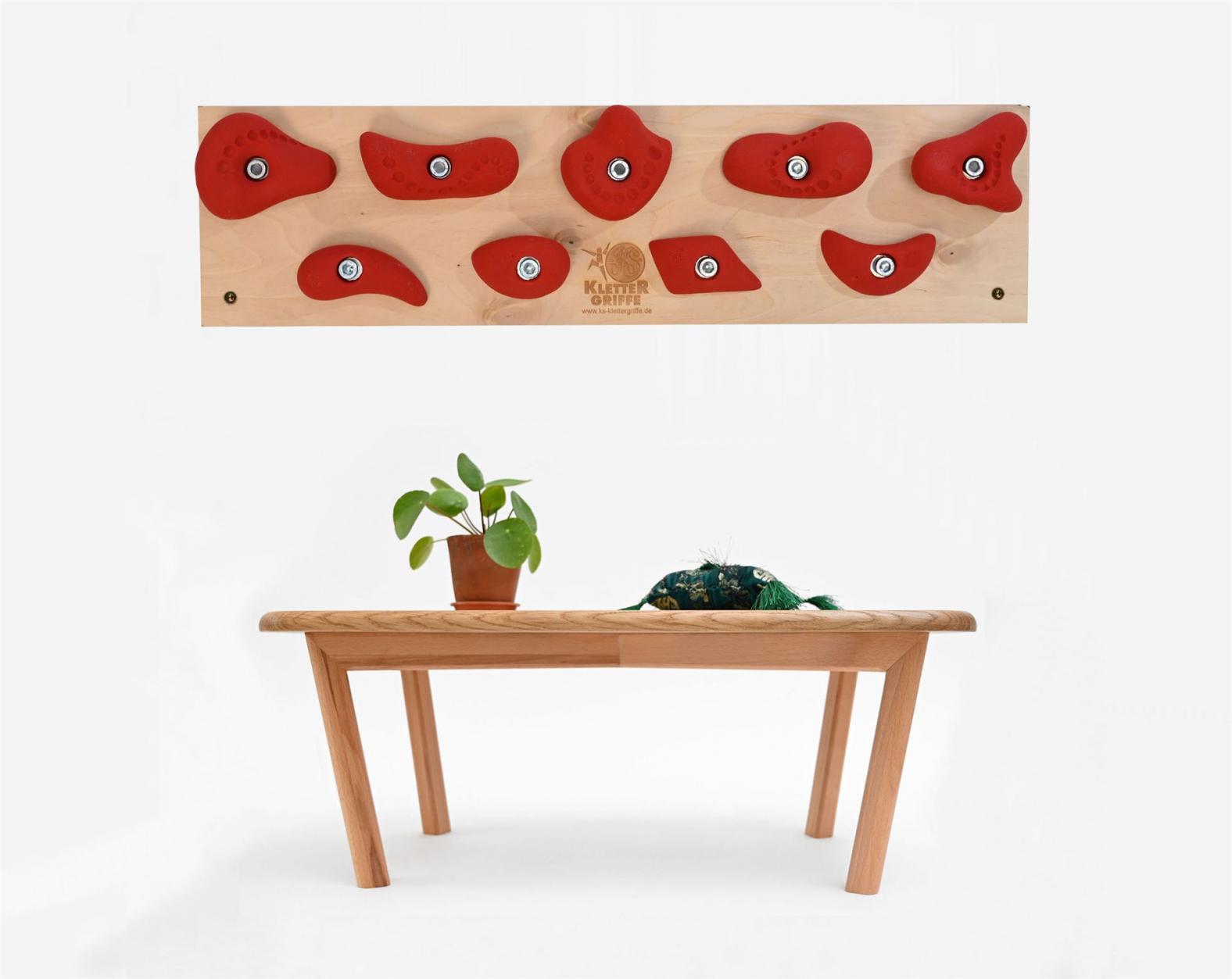 Trainingsboard Leicht - für zuhause - Ein Kletterboard für Kletterer, die auch zu Hause ihre Finger- und Armmuskulatur trainieren möchten - mit 9/10 Klettergriffen. Trainingsboard Leicht - für zuhause - stabiles Kletterboard mit 9/10 Klettergriffen