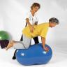 Physio Roll - blau - Doppelball von Gymnic