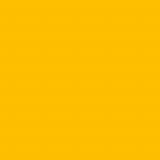 Color Yellow (RAL 1021)