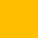 Color Yellow (RAL 1021)